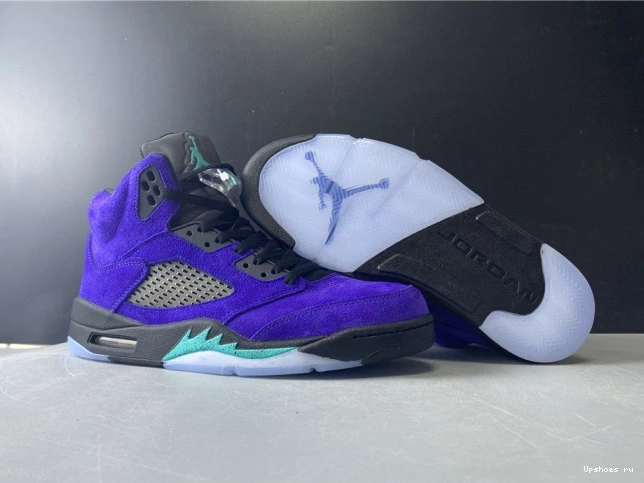 Jordan Retro Grape 136027-500 Alternate Air 5 0519